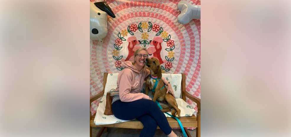 UPDATE: Escaped McKamey Animal Center dog finds forever home while on the run